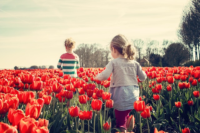 holky na poli tulipánů